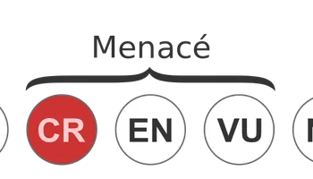Licenciement économique : serez-vous dans les premiers à partir ?