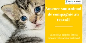 Votre animal peut-il vous accompagner au travail?