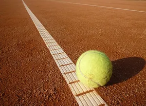 Les joueurs de tennis sont-ils des salariés comme les autres ?
